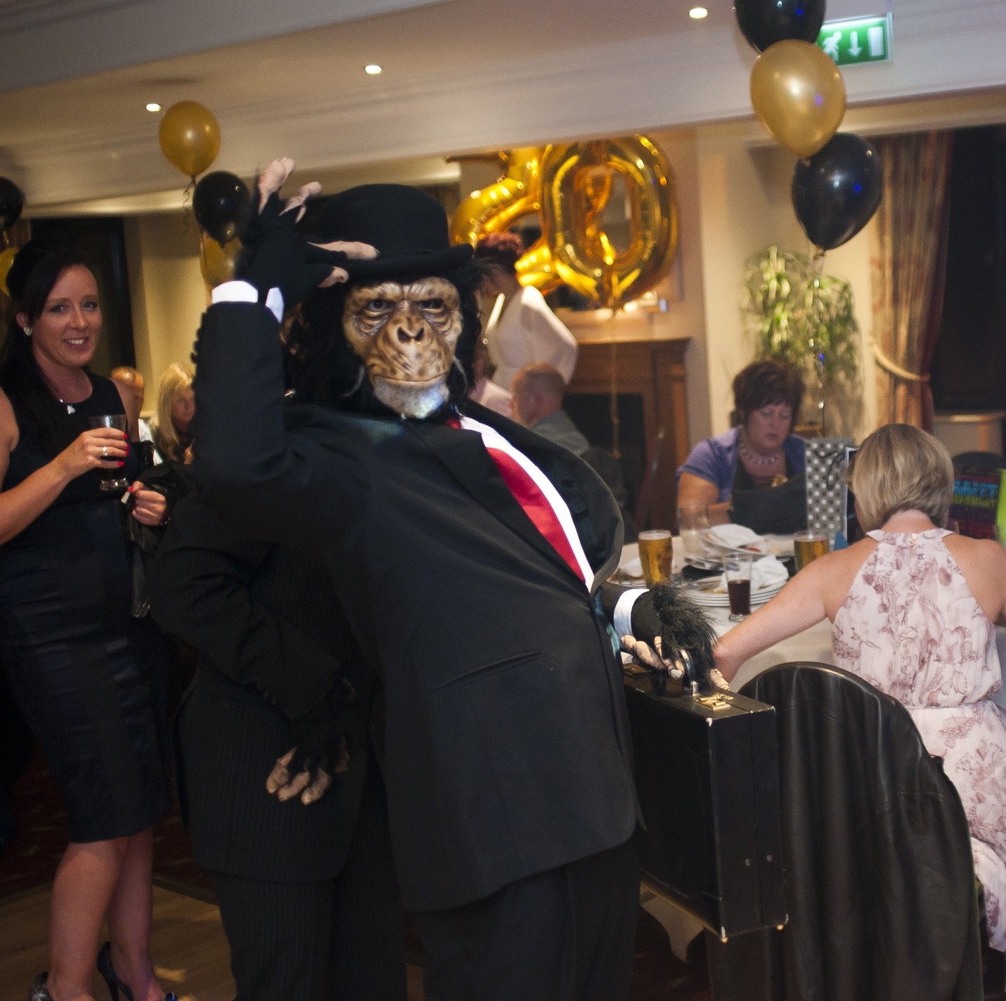 Gentlemen Chimps Gallery Image 2